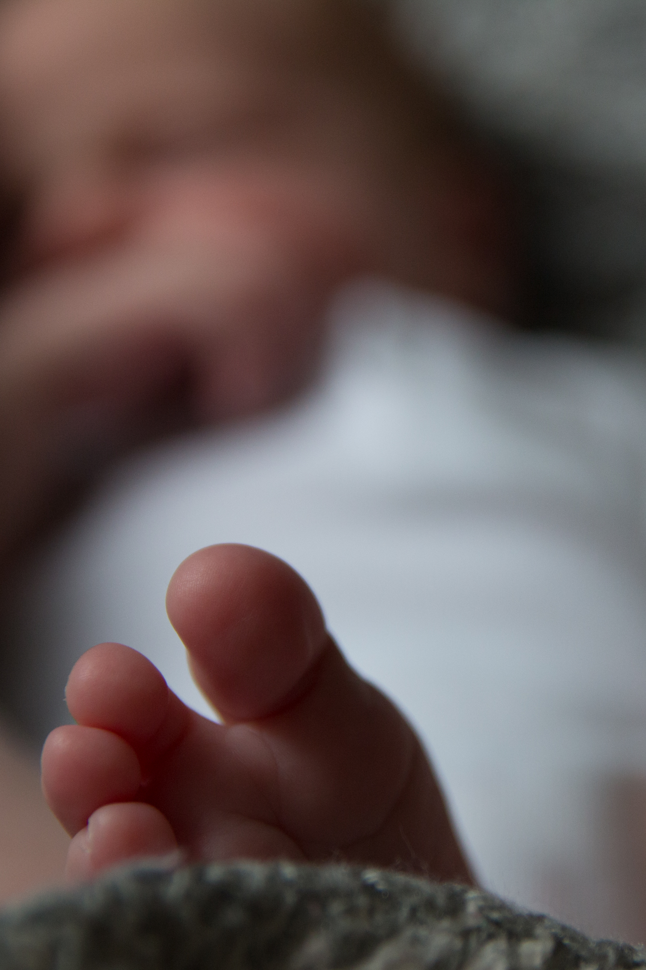 L' Oeil Noir Photographie